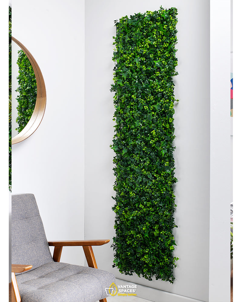 Mixed Ivy/Buxus Green Wall - NWOF