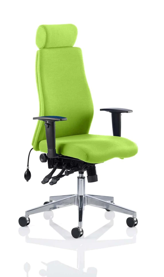 Onyx Ergo Posture Chair Bespoke Fabric With Headrest & Arms - NWOF