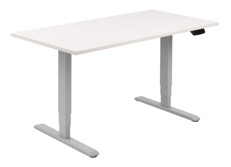 Allcam EDF12D Electric Standing Desk With Dual Motors - Flogit2us.com