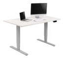 Allcam EDF12D Electric Standing Desk With Dual Motors - Flogit2us.com