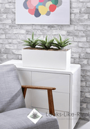 Agave Cabinet Trough - NWOF