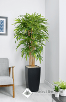 Bamboo Floor Standing Plant - NWOF