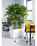 Bamboo Floor Trough - NWOF