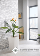 Bird of Paradise Floor Standing Plant - NWOF