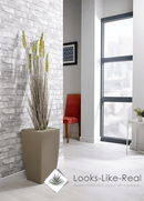 Buckwheat Grass Floor Standing Plant - NWOF