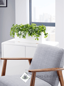 Ivy Cabinet Trough - NWOF