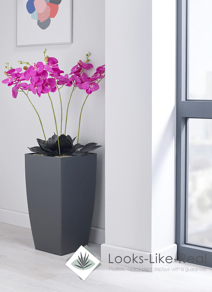 Magenta Orchid Floor Standing Plant - NWOF