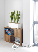 Mother in Law’s Tongue Cabinet Trough - NWOF