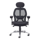 Sandro Mesh Back Executive Chair With Black Air Mesh Seat & Head Rest - NWOF