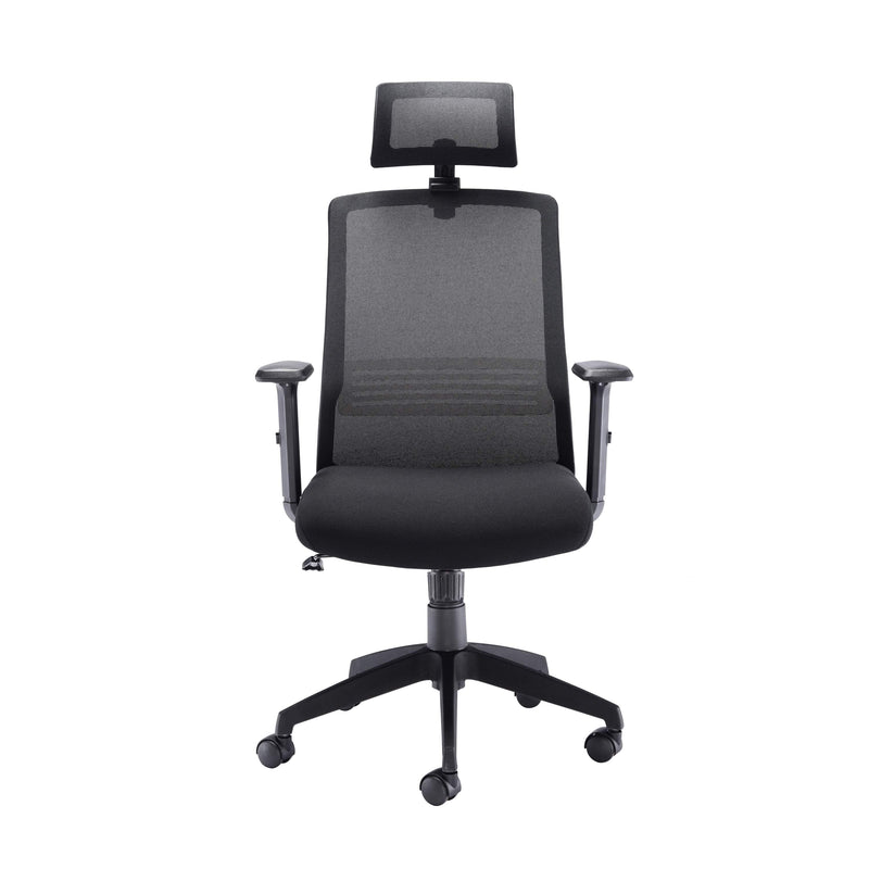 Denali High Back Chair with Headrest - Black Mesh - NWOF